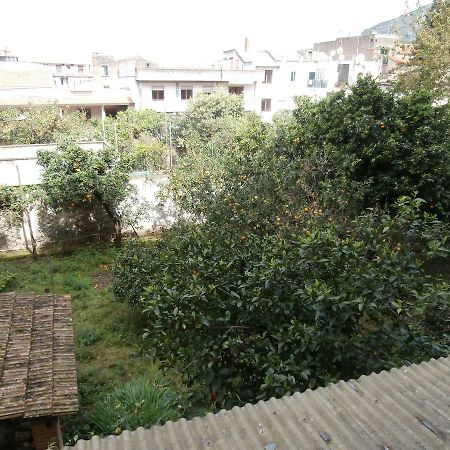 B&B Maria Grazia Piano di Sorrento Bagian luar foto